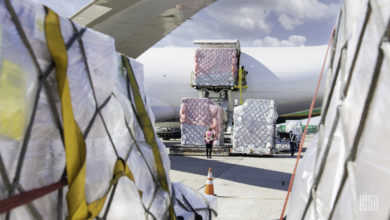 Photo taken between air cargo containers on the tarmac looking at side of a jetliner with containers being lifted into hold.