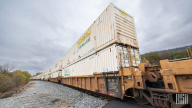 A train hauling intermodal containers travels next to a forest.