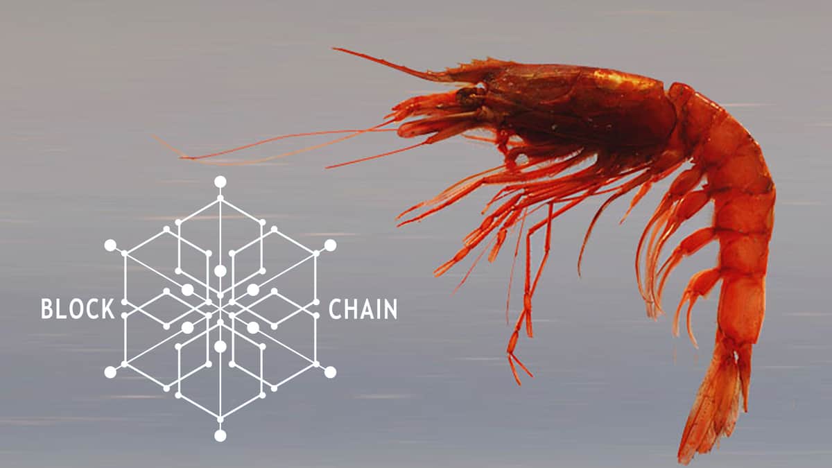 Connecting seafood producers to consumers via blockchain (Photo: NOAA)