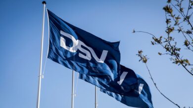 Big blue flags with white DSV logo flapping in the wind.