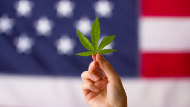 marijuana leaf in front of united states flag for legalization